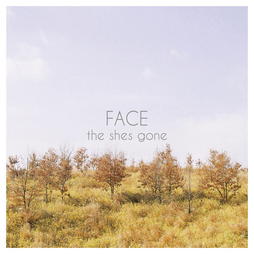 the shes gone FACE cover artwork