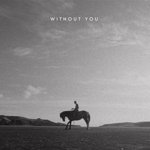 TEEKS — Without You cover artwork