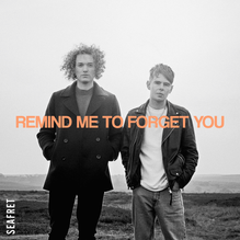 Seafret — Remind Me To Forget You cover artwork
