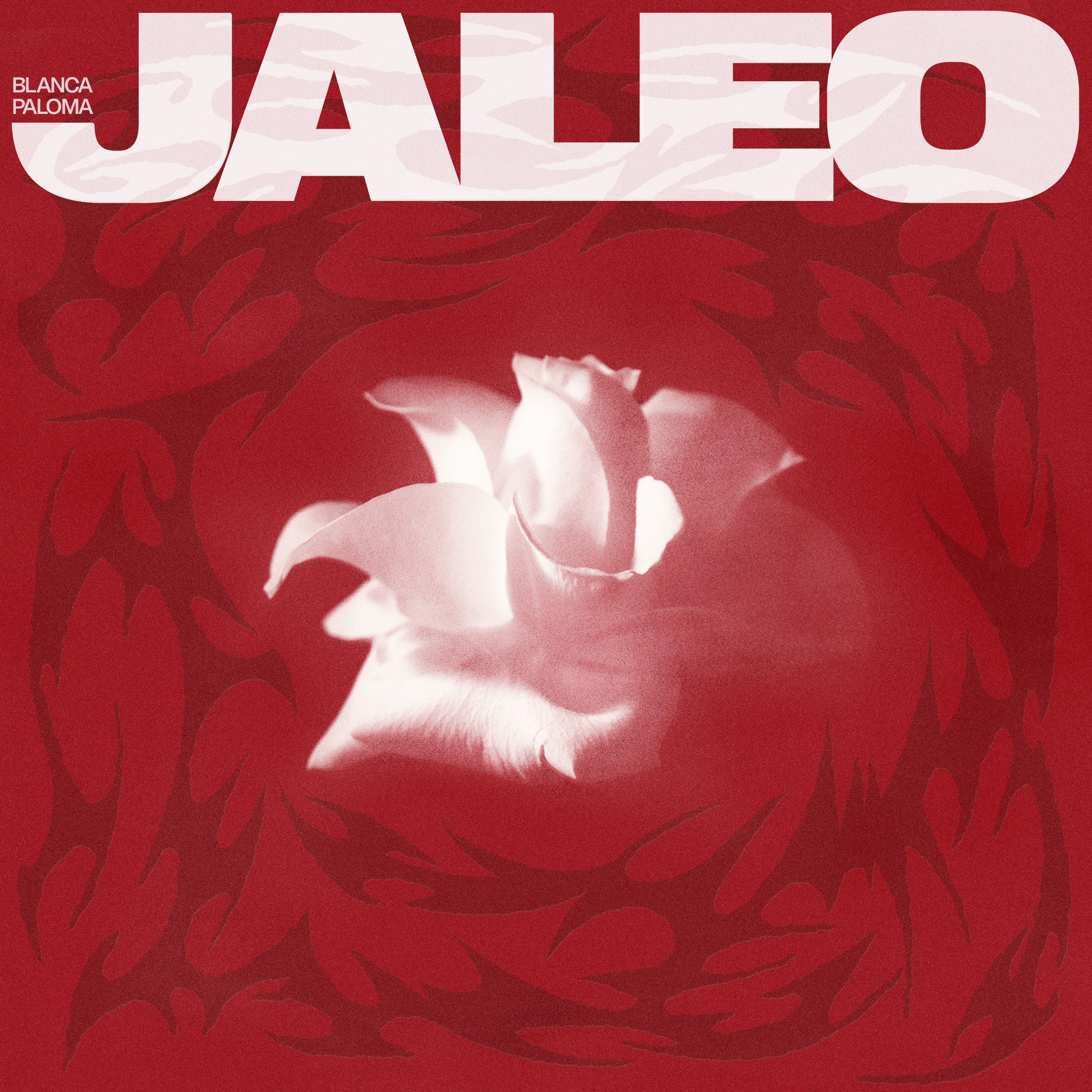 Blanca Paloma — Jaleo cover artwork
