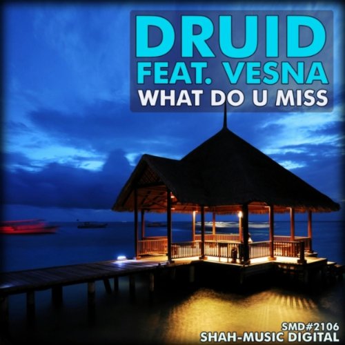 Druid featuring Vesna — What Do U Miss cover artwork