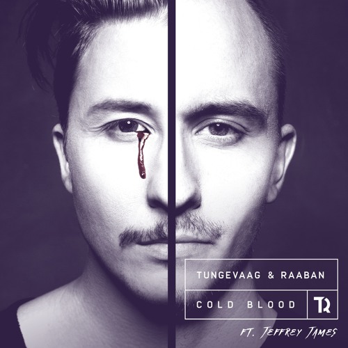 Tungevaag &amp; Raaban featuring Jeffrey James — Cold Blood cover artwork