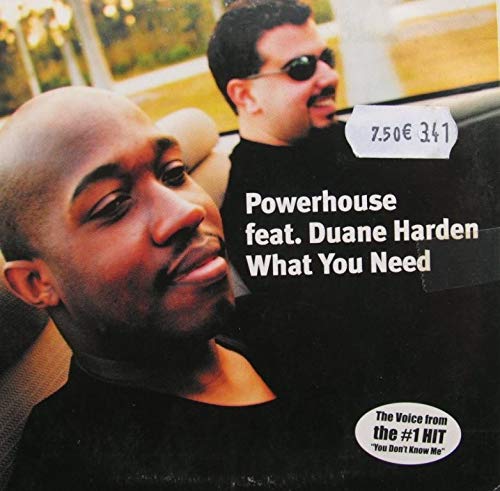 POWERHOUSE featuring Duane Harden — What You Need cover artwork