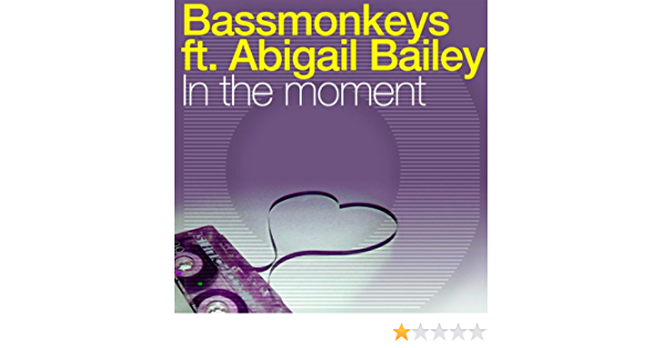 BASSMONKEYS featuring ABIGAIL BAILEY — In The Moment cover artwork