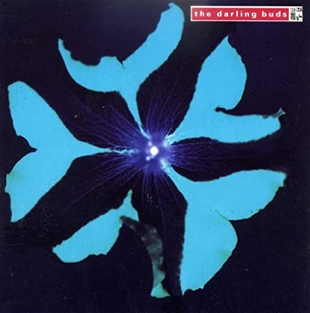 The Darling Buds — It Makes No Difference cover artwork