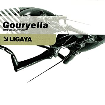 Gouryella Ligaya cover artwork