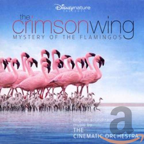 Jason Swinscoe The Crimson Wing; The Mystery of the Flamingos cover artwork