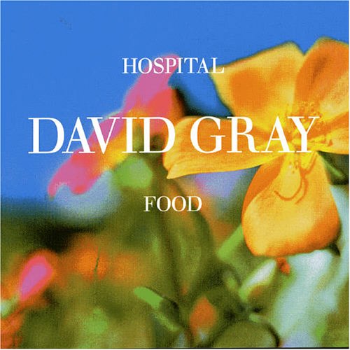 David Gray — Hospital Food cover artwork