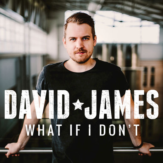 David James — What If I Don&#039;t cover artwork
