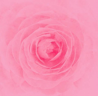 Ray Camellia cover artwork