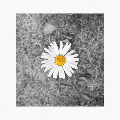 Deorro — Rise and Shine cover artwork