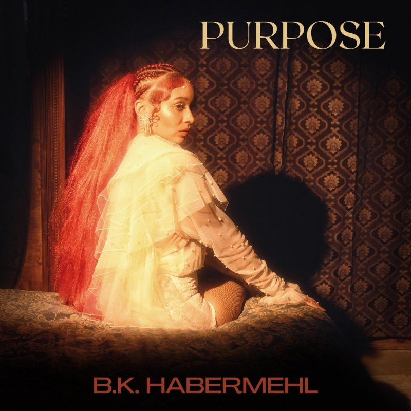 B.K. Habermehl — Purpose cover artwork