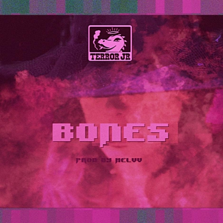 Terror Jr featuring Melvv — Bones cover artwork