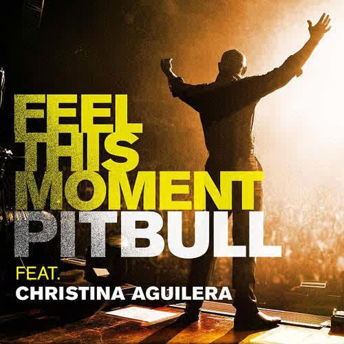 Pitbull featuring Christina Aguilera — Feel This Moment cover artwork