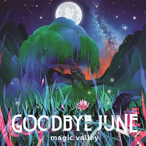 Goodbye June Magic Valley cover artwork