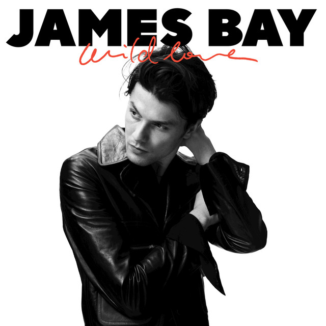James Bay — Wild Love cover artwork