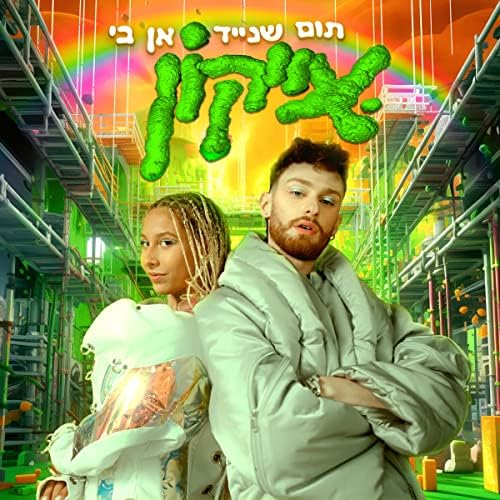Ann B & Tom Schneid — אייקון cover artwork