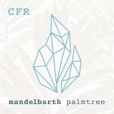 Mandelbarth — Palmtree (Balduin Remix) cover artwork