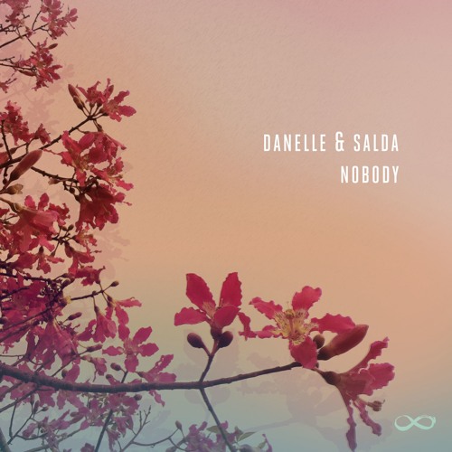 Danelle featuring Salda — Nobody cover artwork