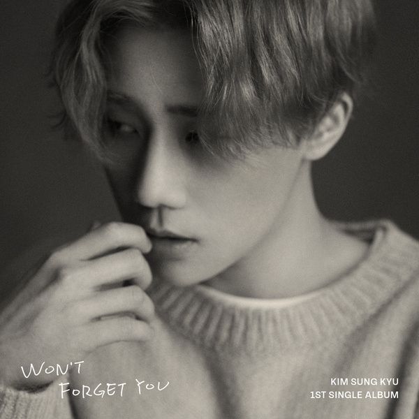 Kim Sung Kyu Won&#039;t Forget You cover artwork