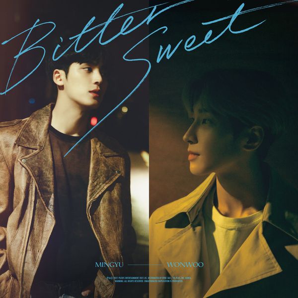 Wonwoo & Mingyu featuring LEE HI — Bittersweet cover artwork