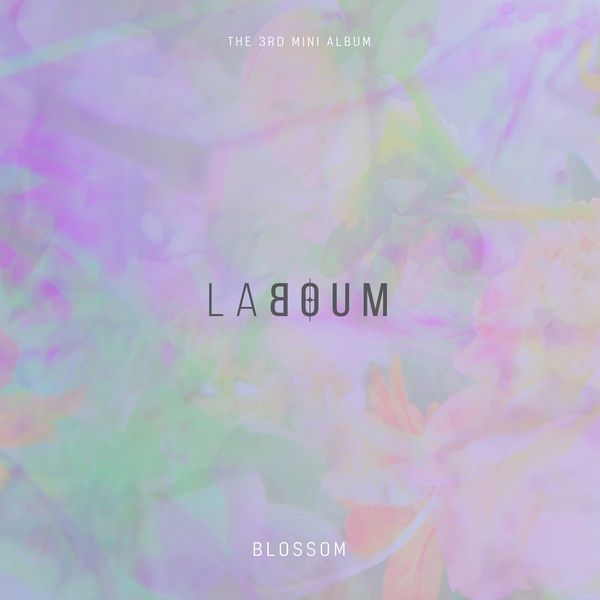 Laboum BLOSSOM cover artwork