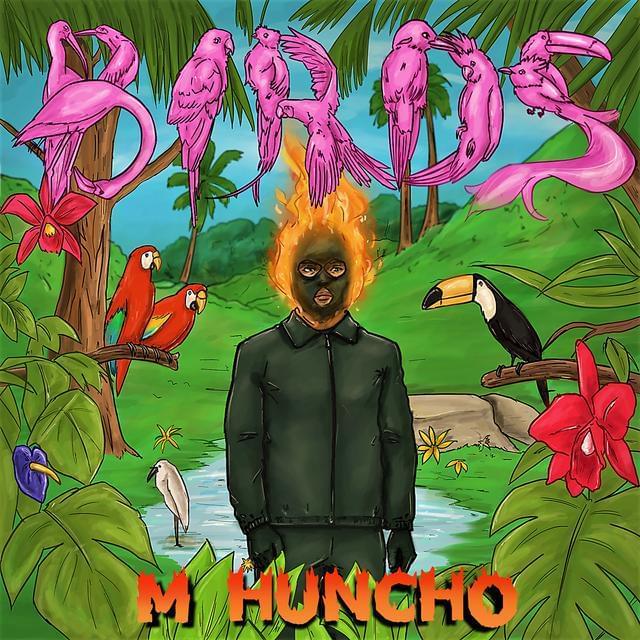 M Huncho — Birds cover artwork