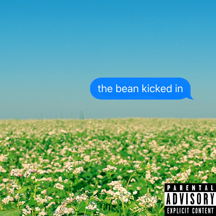 Zack Fox — The Bean Kicked In cover artwork