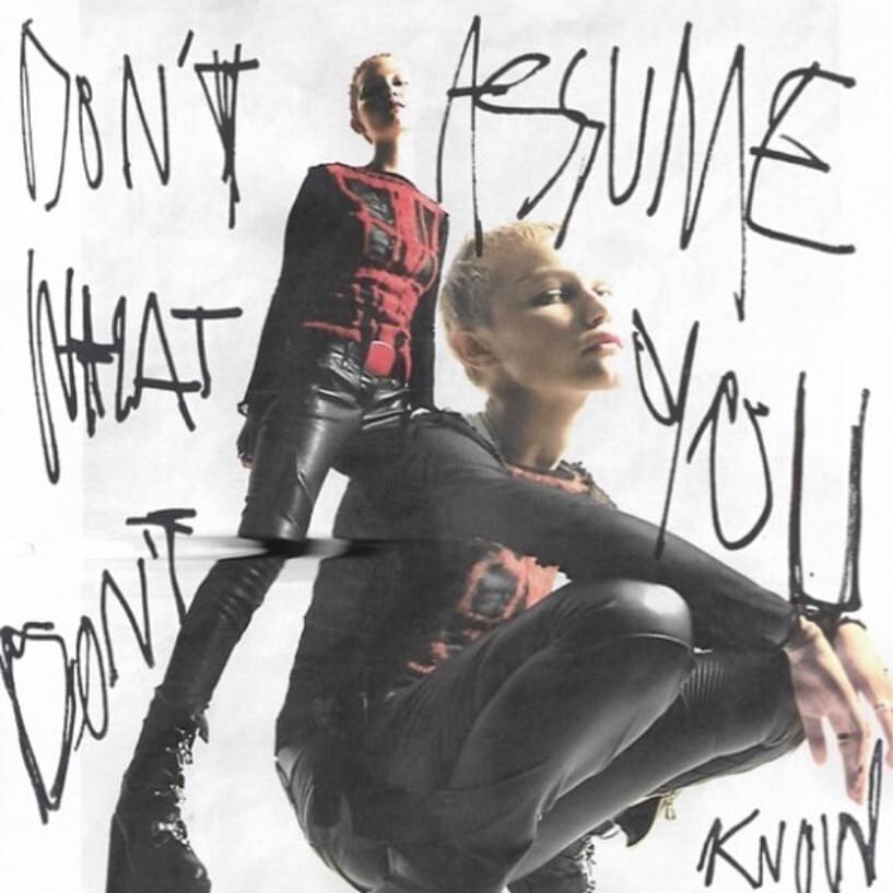 Grace VanderWaal — Don&#039;t Assume What You Don&#039;t Know cover artwork