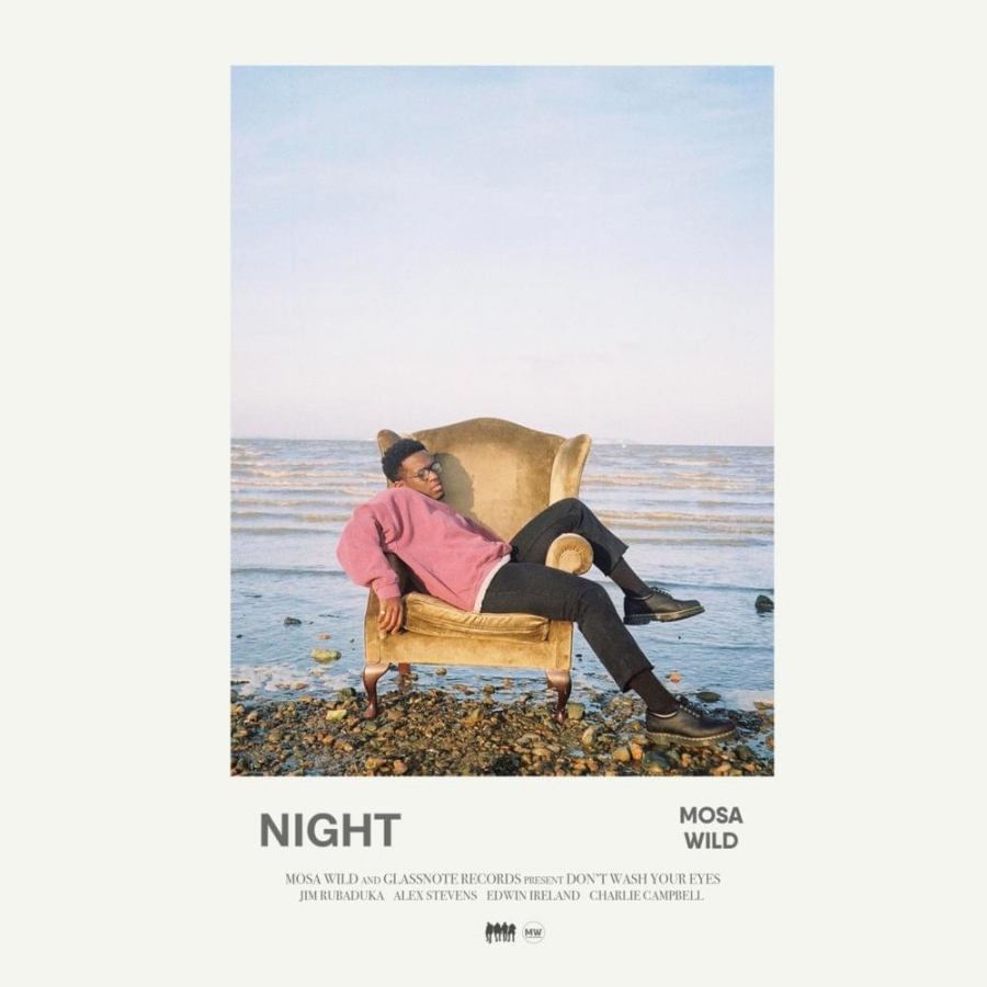 Mosa Wild — Night cover artwork