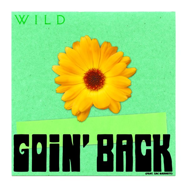 WILD ft. featuring Zac Barnett Goin&#039; Back cover artwork