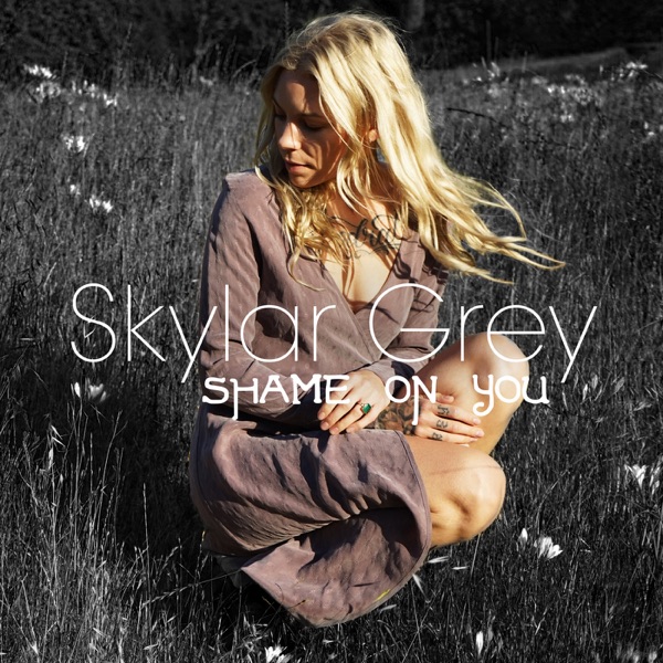 Skylar Grey Shame On You cover artwork