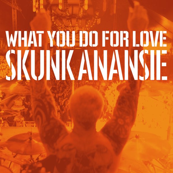 Skunk Anansie What You Do for Love cover artwork