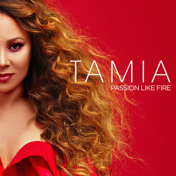 Tamia Passion Like Fire cover artwork