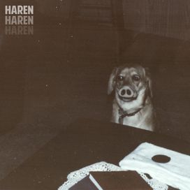 Haren — Amanhã Tem Show cover artwork