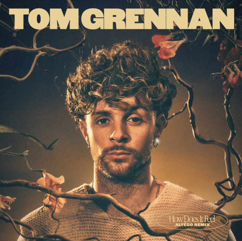 Tom Grennan featuring ALTÉGO — How Does It Feel (Altego Remix) cover artwork