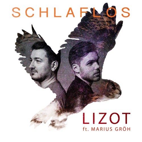 LIZOT ft. featuring Marius Gröh Schlaflos cover artwork