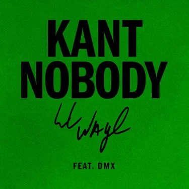 Lil Wayne featuring DMX — Kant Nobody cover artwork