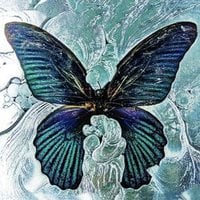 Shygirl featuring Kingdom — Firefly (Kingdom Edit) cover artwork