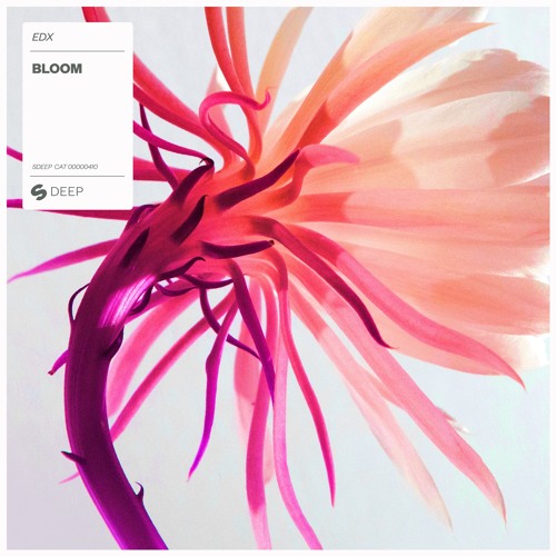 EDX — Bloom cover artwork