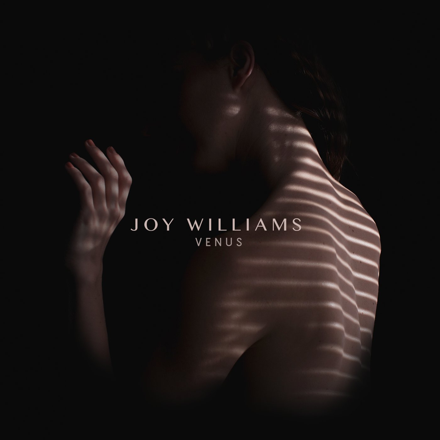 Joy Williams — We Can Never Go Back cover artwork
