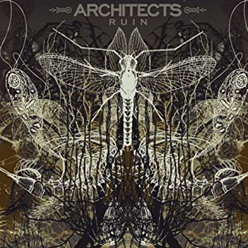 Architects — Ruin cover artwork
