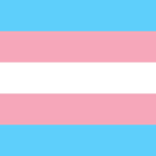 CRZFawkz — I Say Trans Rights! cover artwork