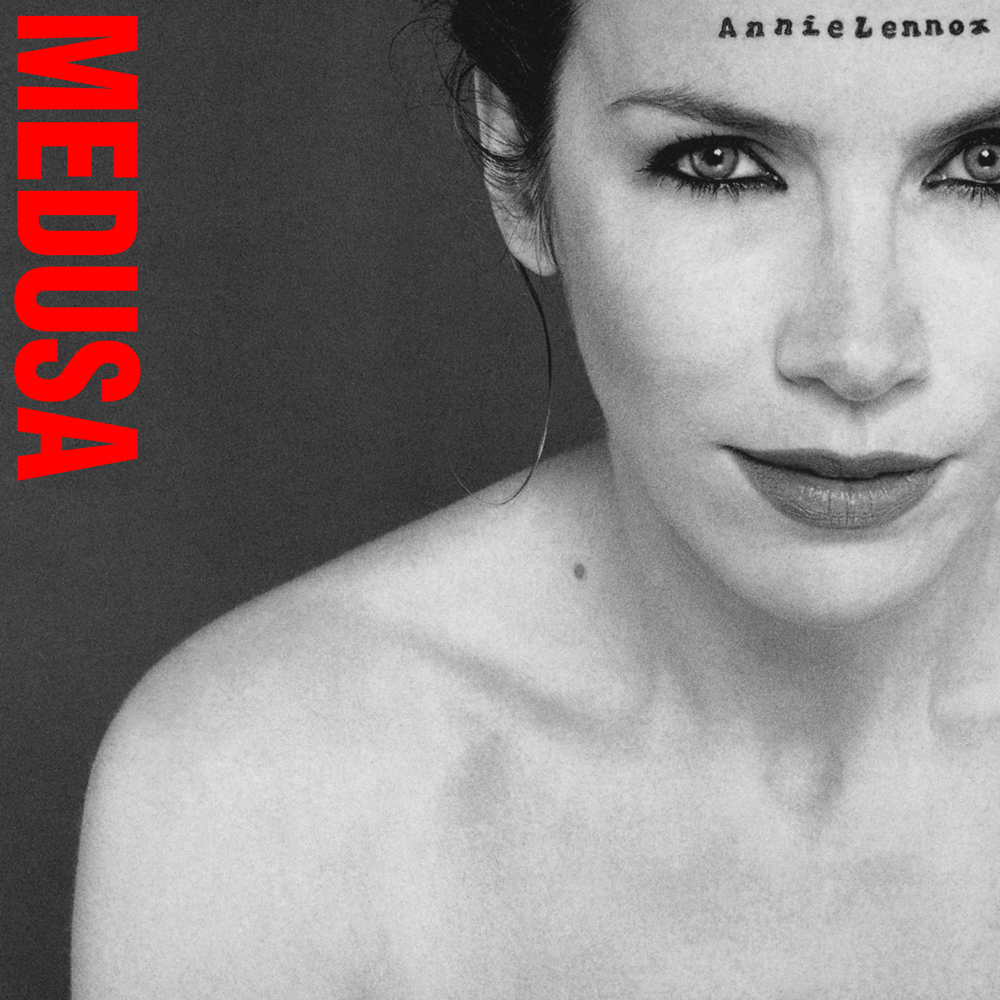 Annie Lennox — Train in Vain cover artwork