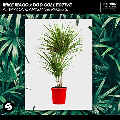 Mike Mago featuring DOG COLLECTIVE — Always On My Mind cover artwork