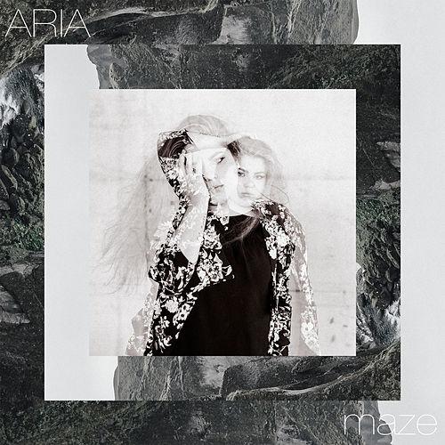 ARIA Maze cover artwork