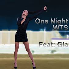 WTS featuring Gia — One Night cover artwork