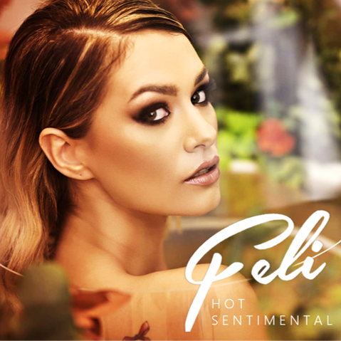 Feli — Hoț Sentimental cover artwork