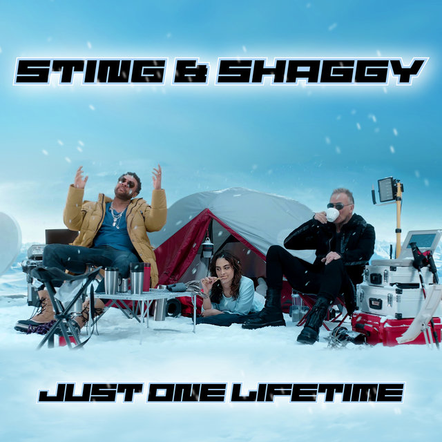 Sting & Shaggy — Just One Lifetime cover artwork