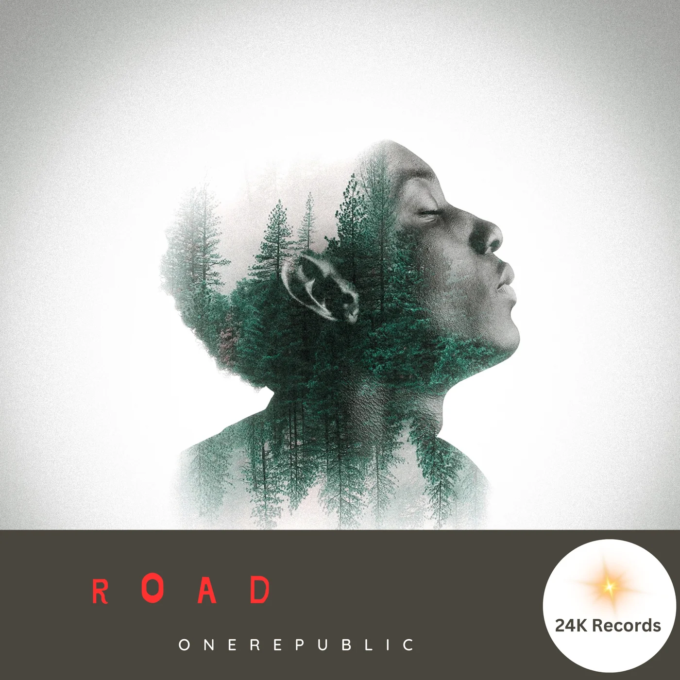 ELECTRONIC MOVEMENT featuring OneRepublic — Road cover artwork